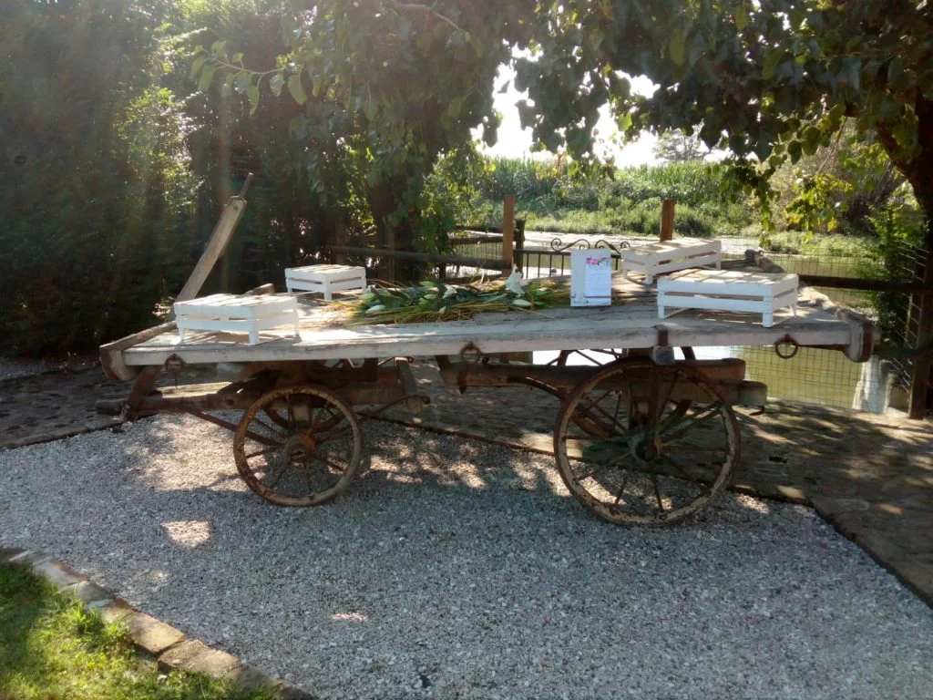Comunioni, cresime e battesimi